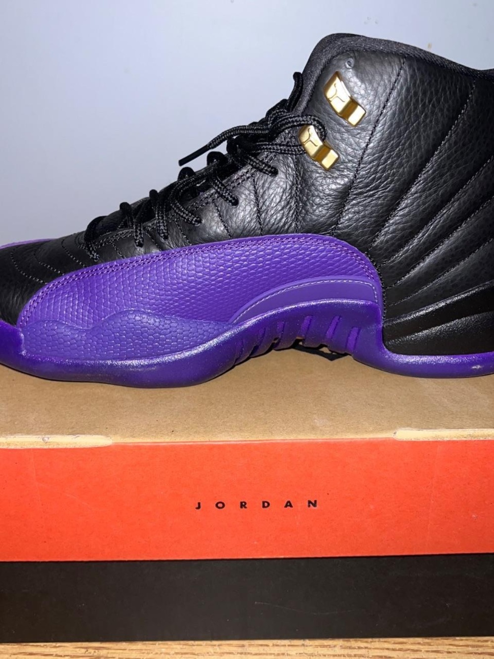 Mens Air Jordan 12 Retro in the ‘Field Purple’ colorway (2023 release)